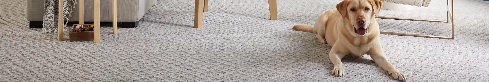 pet-friendly flooring with dog